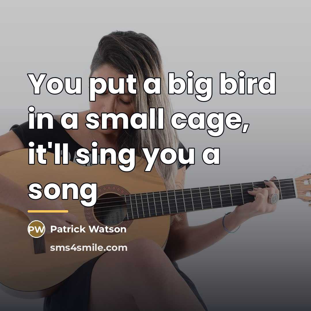 “You put a big bird in a small cage, it'll…” quote by Patrick Watson