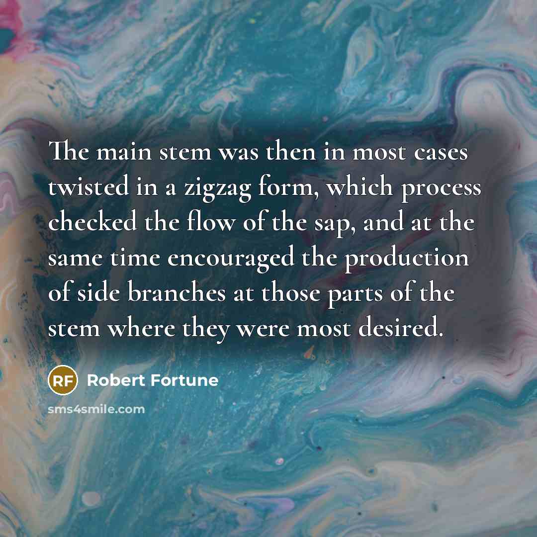“The main stem was then in most cases twisted in…” quote by Robert Fortune