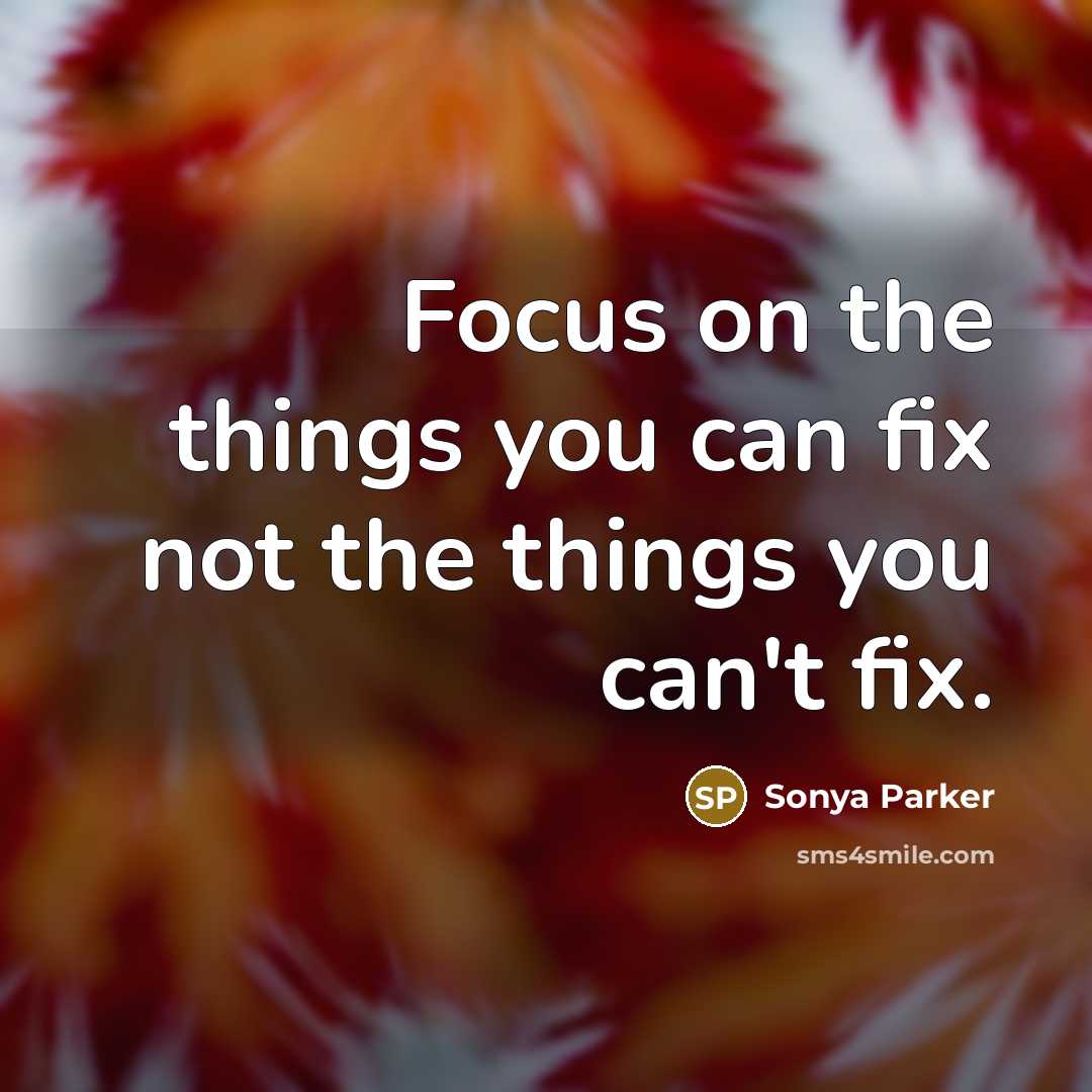 “Focus on the things you can fix not the things…” quote by SONYA PARKER
