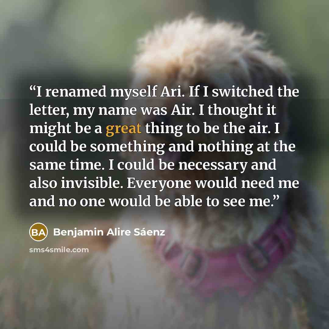“I renamed myself Ari. If I switched the letter, my name was Air. I thought it might be a great thing to be the air. I could be something and nothing at the same time. I could be necessary and also invisible. Everyone would need me and no one would be able to see me.” quote by Benjamin Alire Sáenz