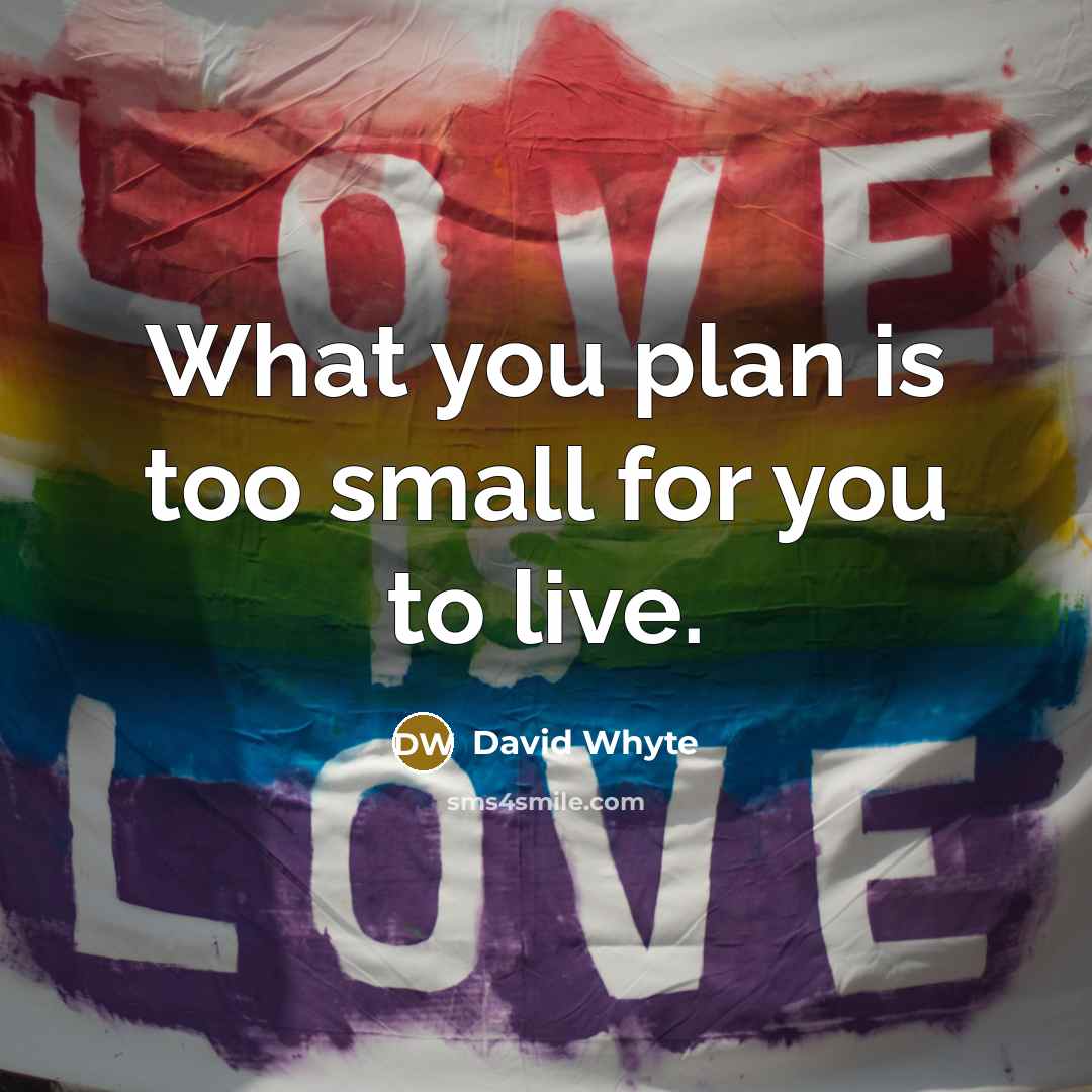 “What you plan is too small for you to live.…” quote by David Whyte