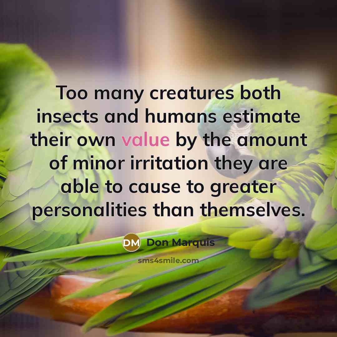 “Too many creatures both insects and humans estimate their own…” quote by Don Marquis