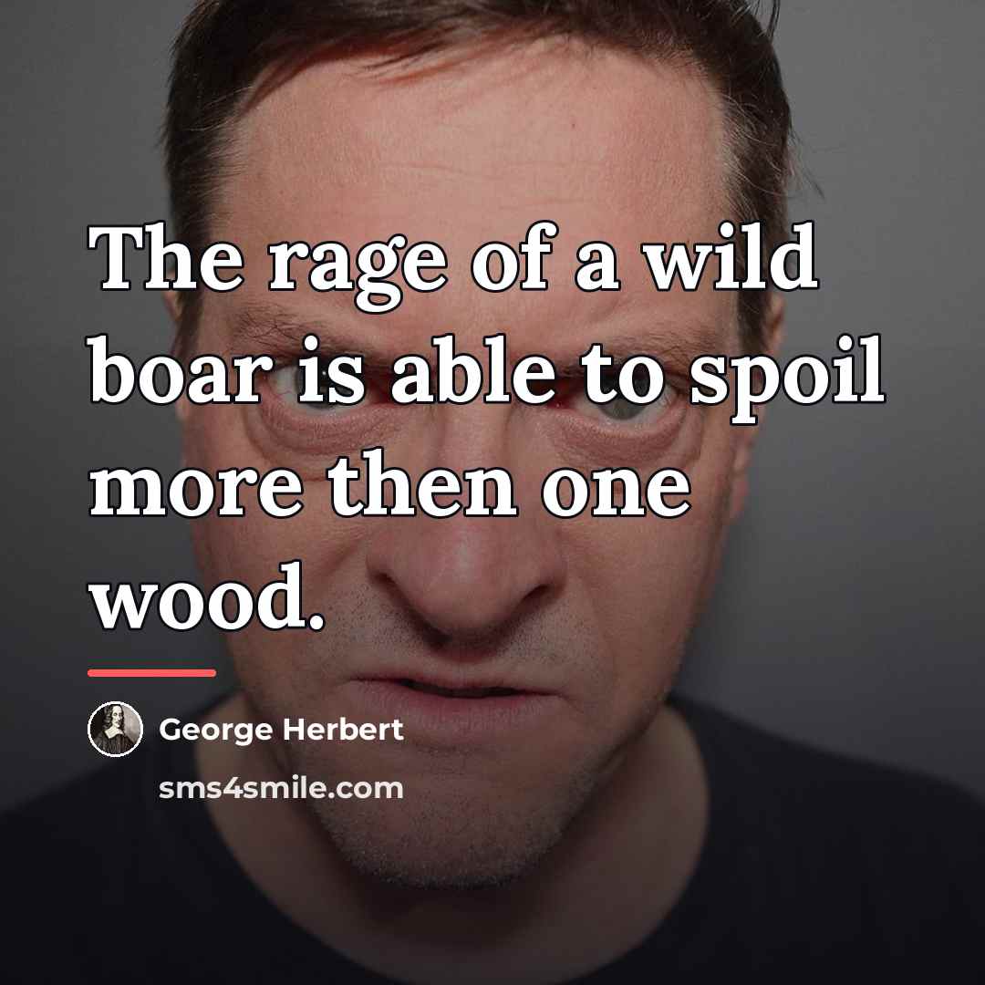 “The rage of a wild boar is able to spoil…” quote by George Herbert