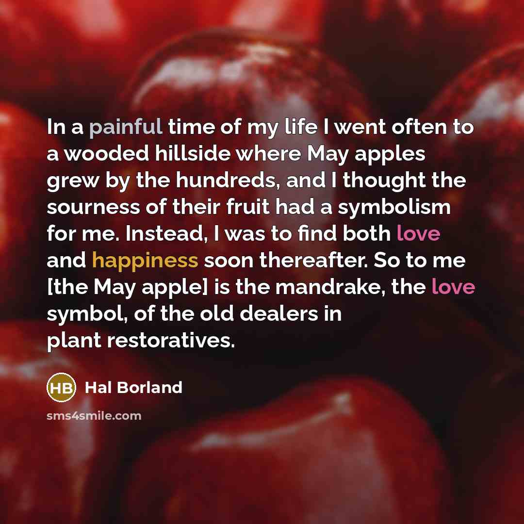 “In a painful time of my life I went often…” quote by Hal Borland