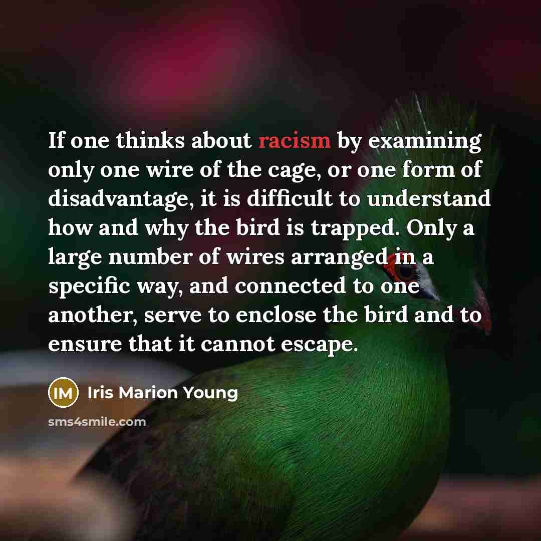 “If one thinks about racism by examining only one wire…” quote by Iris Marion Young