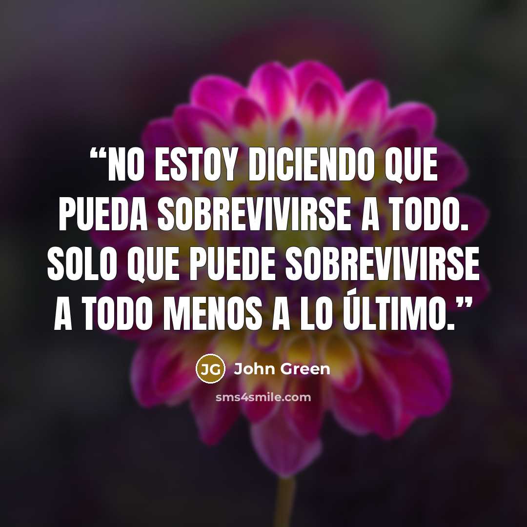 “No estoy diciendo que pueda sobrevivirse a todo. Solo que puede sobrevivirse a todo menos a lo último.” quote by John Green