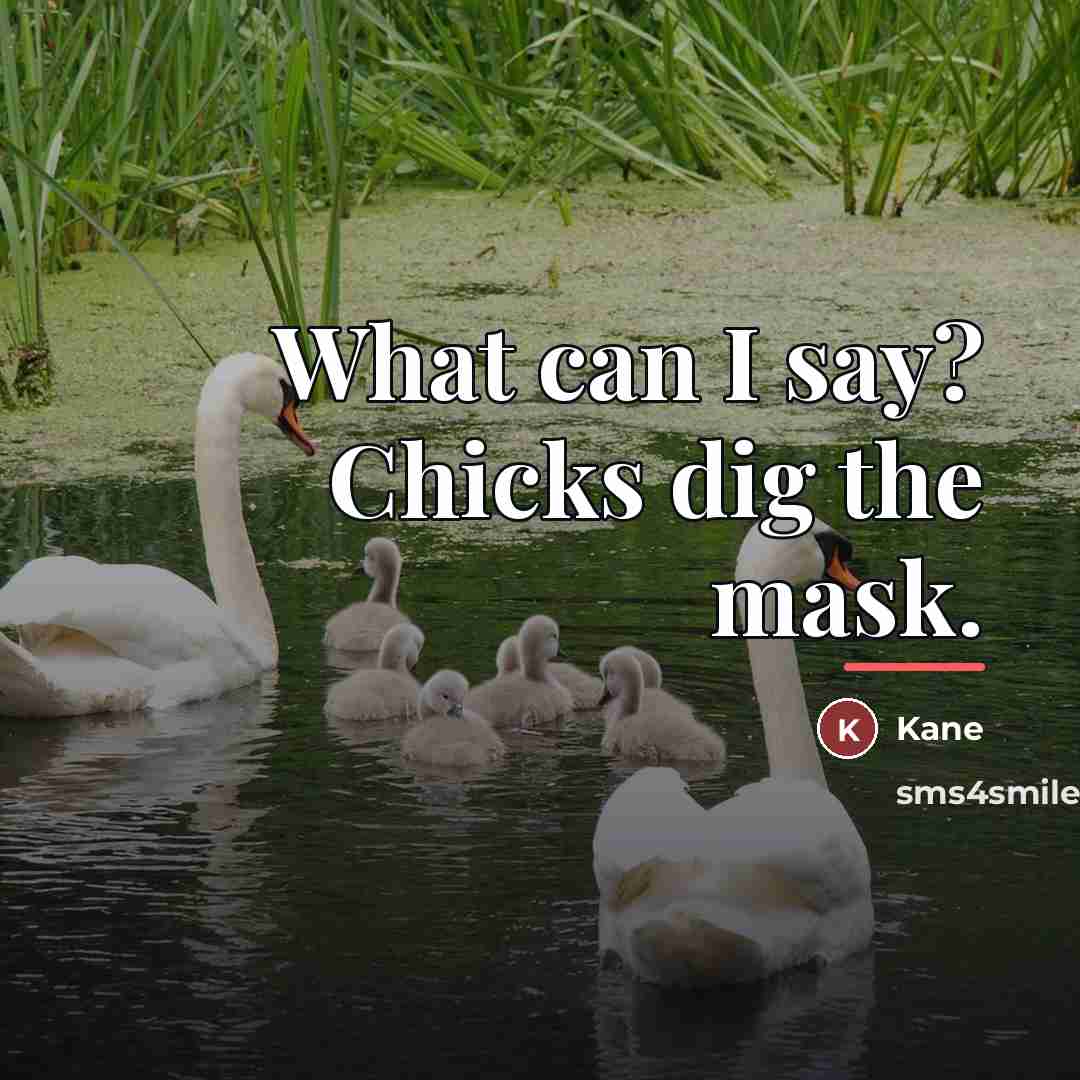 “What can I say? Chicks dig the mask.…” quote by Kane