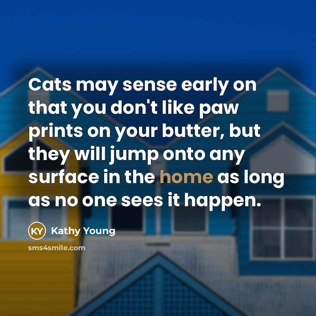 “Cats may sense early on that you don't like paw…” quote by Kathy Young