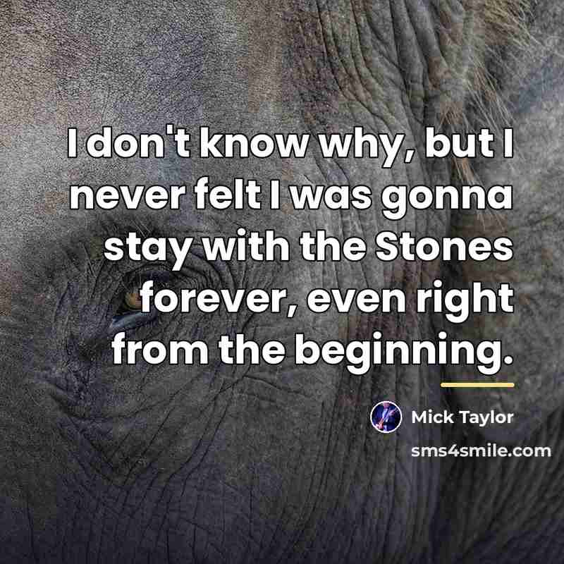 “I don't know why, but I never felt I was…” quote by Mick Taylor