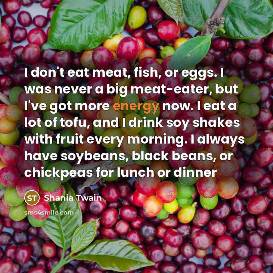 “I don't eat meat, fish, or eggs. I was never…” quote by Shania Twain