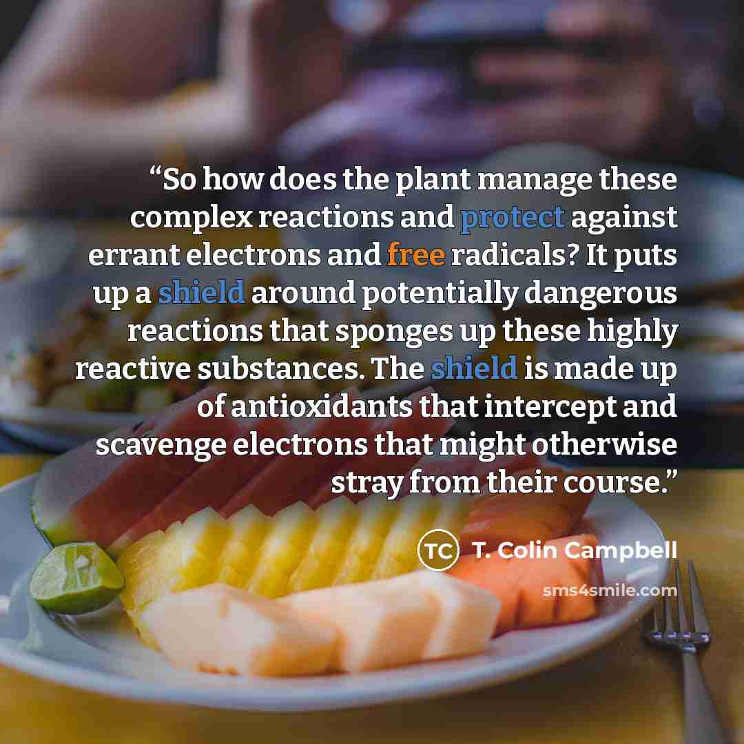 “So how does the plant manage these complex reactions and protect against errant electrons and free radicals? It puts up a shield around potentially dangerous reactions that sponges up these highly reactive substances. The shield is made up of antioxidants that intercept and scavenge electrons that…” quote by T. Colin Campbell