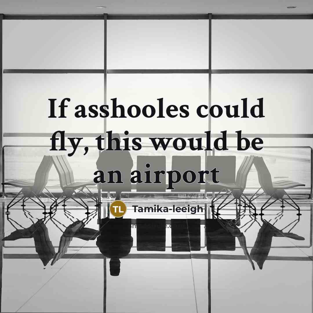 “If asshooles could fly, this would be an airport…” quote by Tamika-leeigh