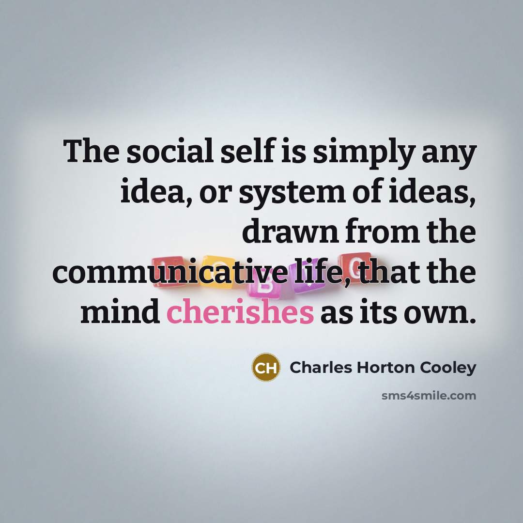 “The social self is simply any idea, or system of…” quote by Charles Horton Cooley