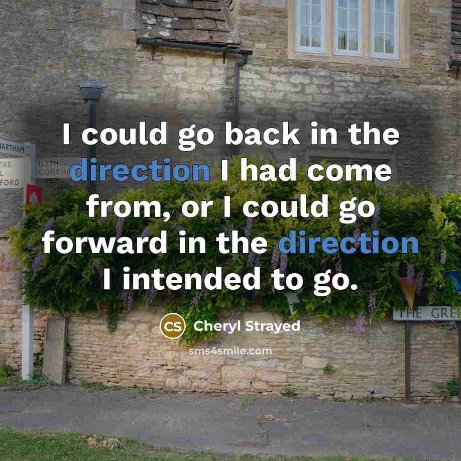 “I could go back in the direction I had come from, or I could go forward in the direction I intended to go.” quote by Cheryl Strayed
