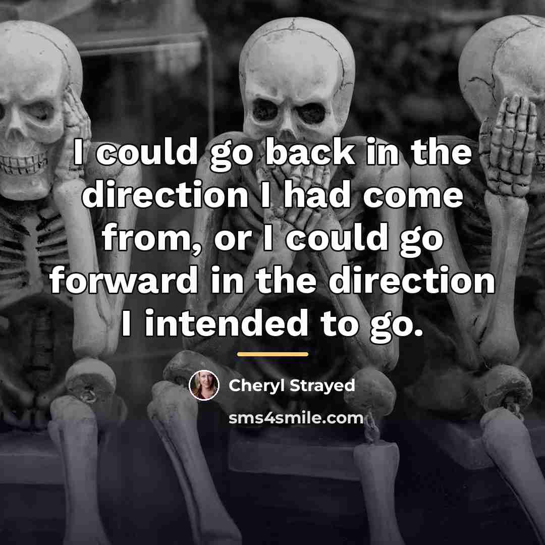 “I could go back in the direction I had come…” quote by Cheryl Strayed