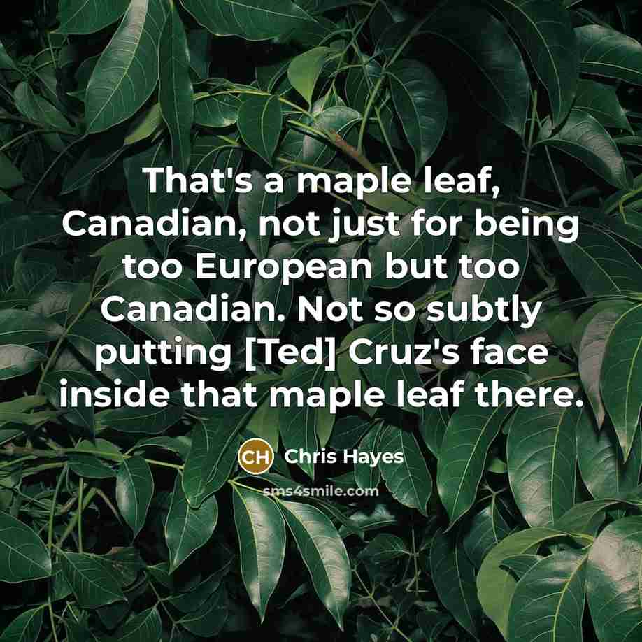 “That`s a maple leaf, Canadian, not just for being too…” quote by Chris Hayes