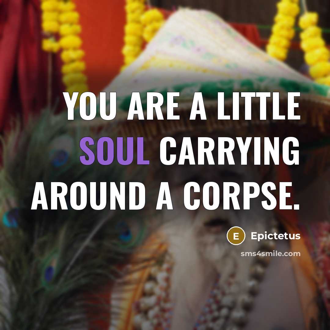 “You are a little soul carrying around a corpse.…” quote by Epictetus