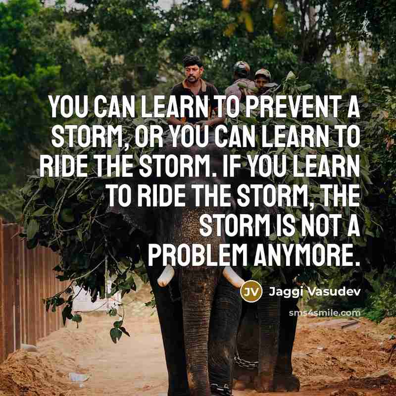 “You can learn to prevent a storm, or you can…” quote by Jaggi Vasudev