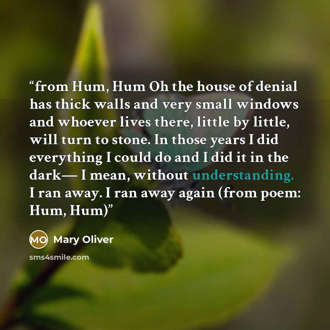 “from Hum, Hum Oh the house of denial has thick walls and very small windows and whoever lives there, little by little, will turn to stone. In those years I did everything I could do and I did it in the dark— I mean, without understanding. I ran away. I ran away again (from poem: Hum, Hum)” quote by Mary Oliver