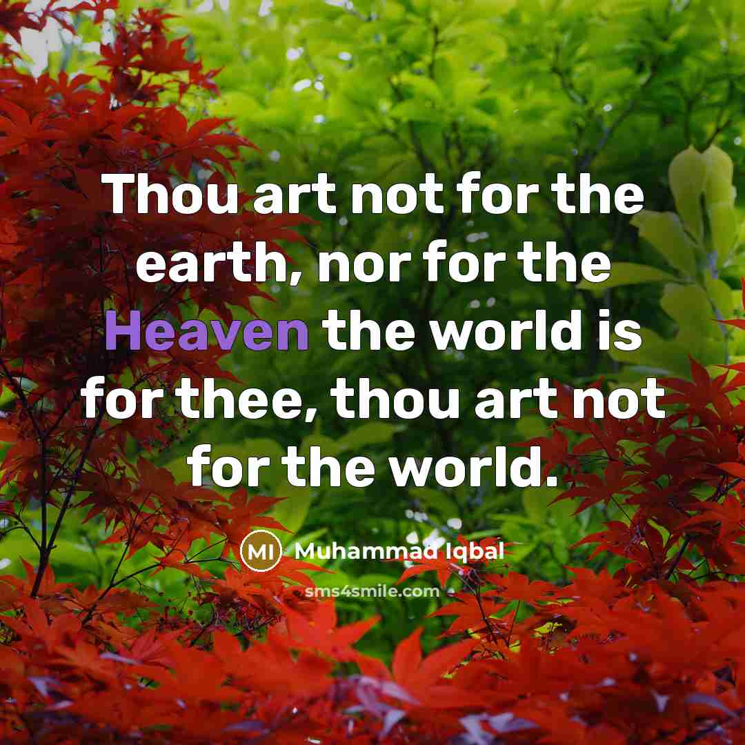 “Thou art not for the earth, nor for the Heaven…” quote by Muhammad Iqbal