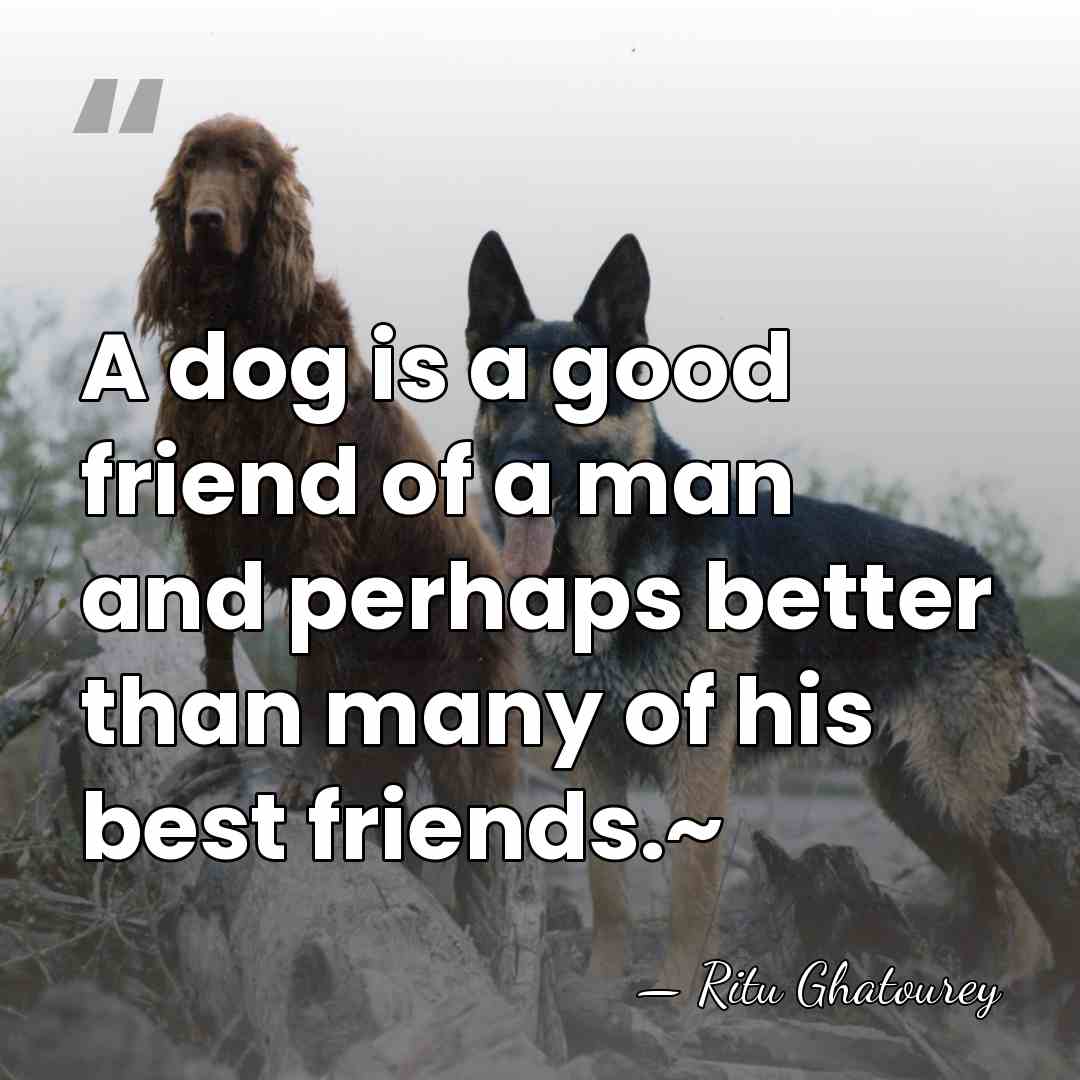 A dog is a good friend of a man and perhaps better&hellip; - Ritu Ghatourey