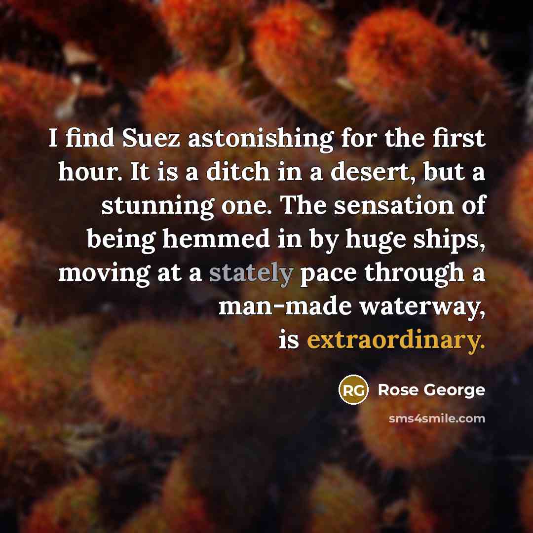 “I find Suez astonishing for the first hour. It is…” quote by Rose George