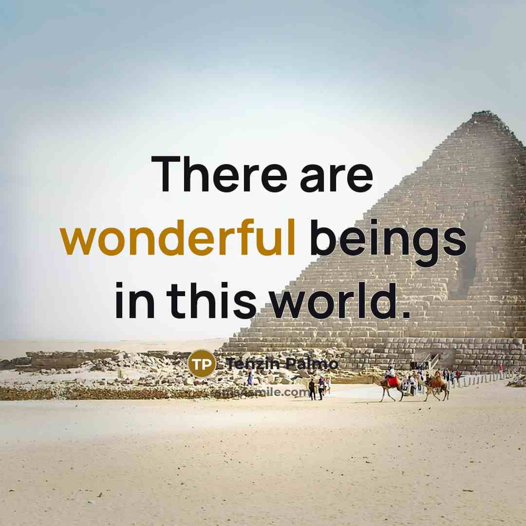 “There are wonderful beings in this world.…” quote by Tenzin Palmo