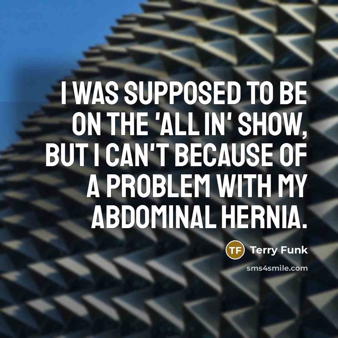“I was supposed to be on the 'All In' show,…” quote by Terry Funk