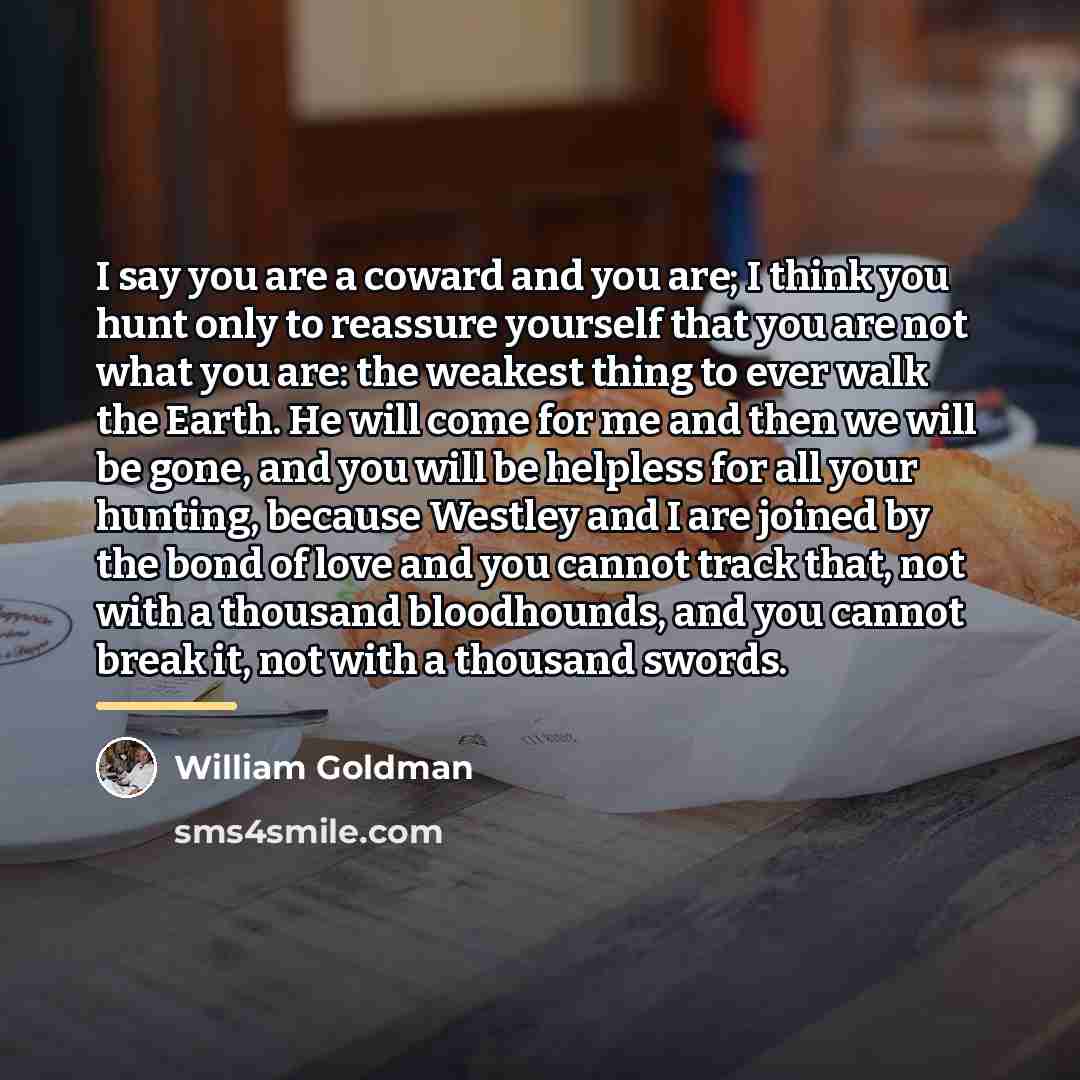 “I say you are a coward and you are; I…” quote by William Goldman