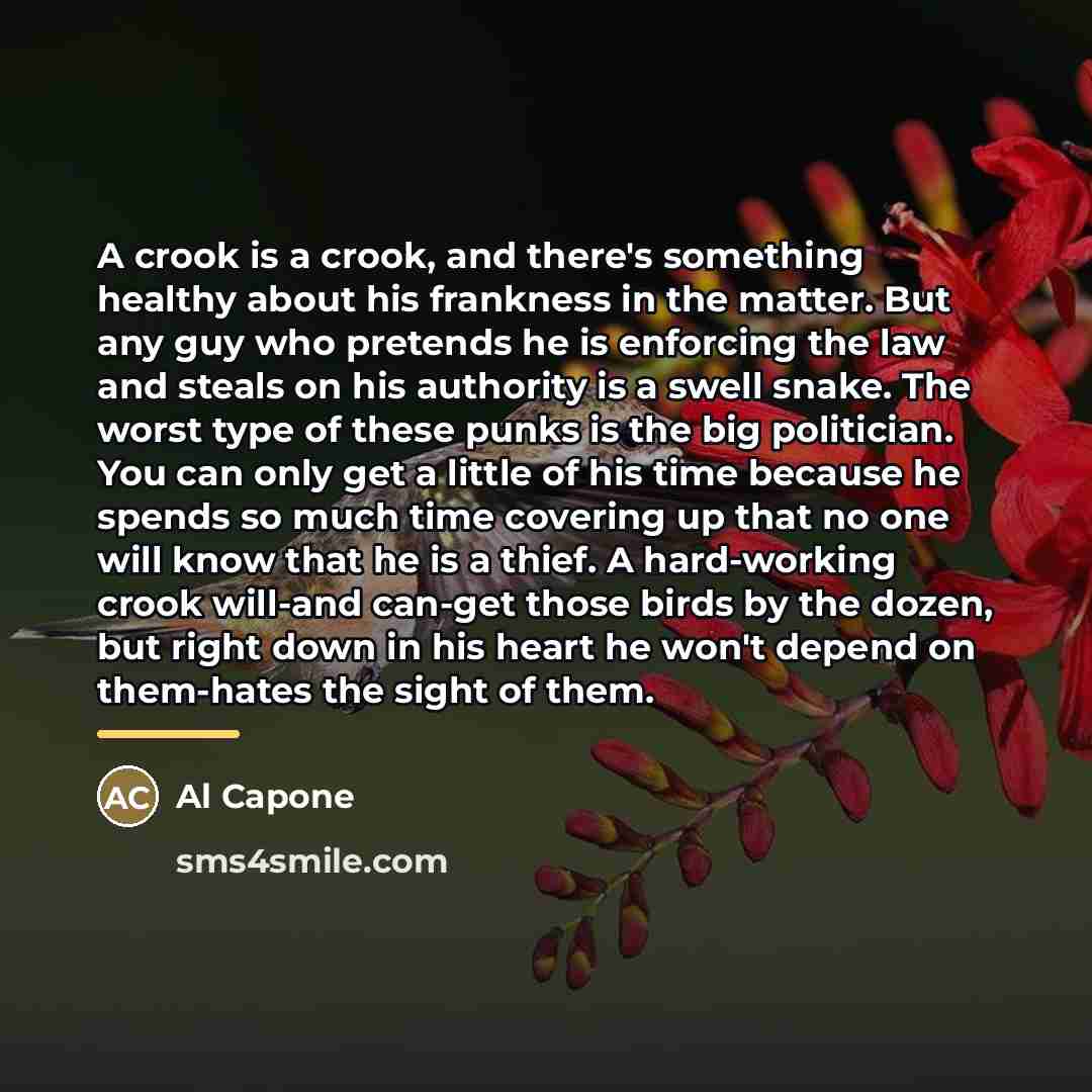“A crook is a crook, and there's something healthy about…” quote by Al Capone