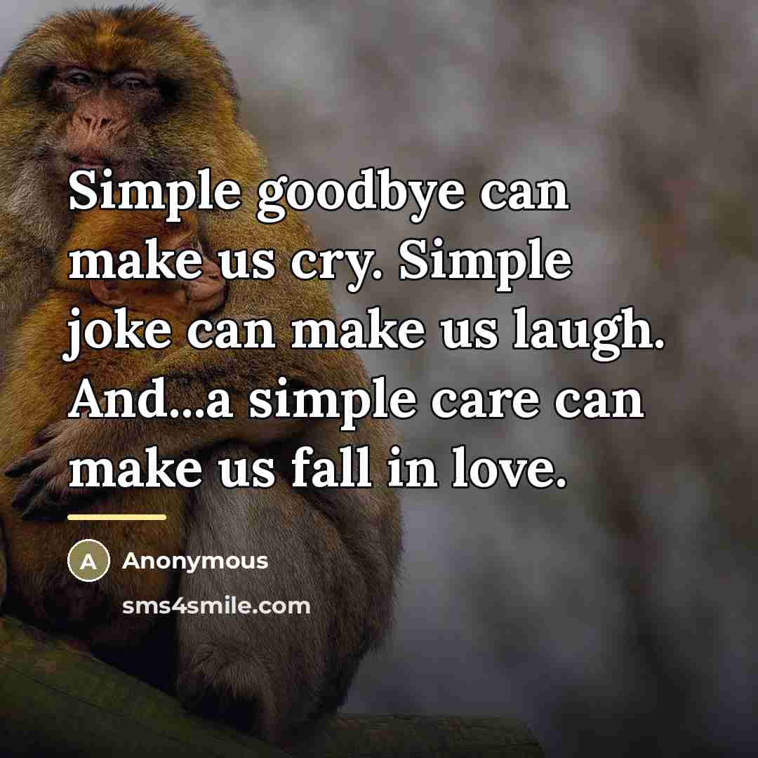 “Simple goodbye can make us cry. Simple joke can make…” quote by Anonymous