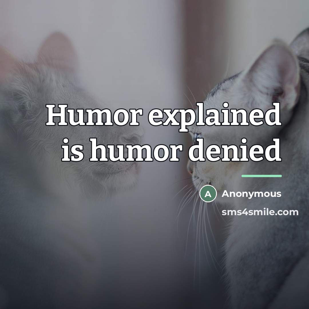 “Humor explained is humor denied…” quote by Anonymous