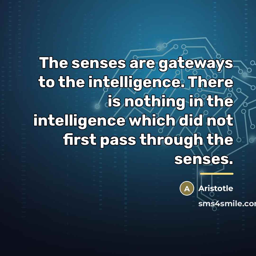 “The senses are gateways to the intelligence. There is nothing…” quote by Aristotle