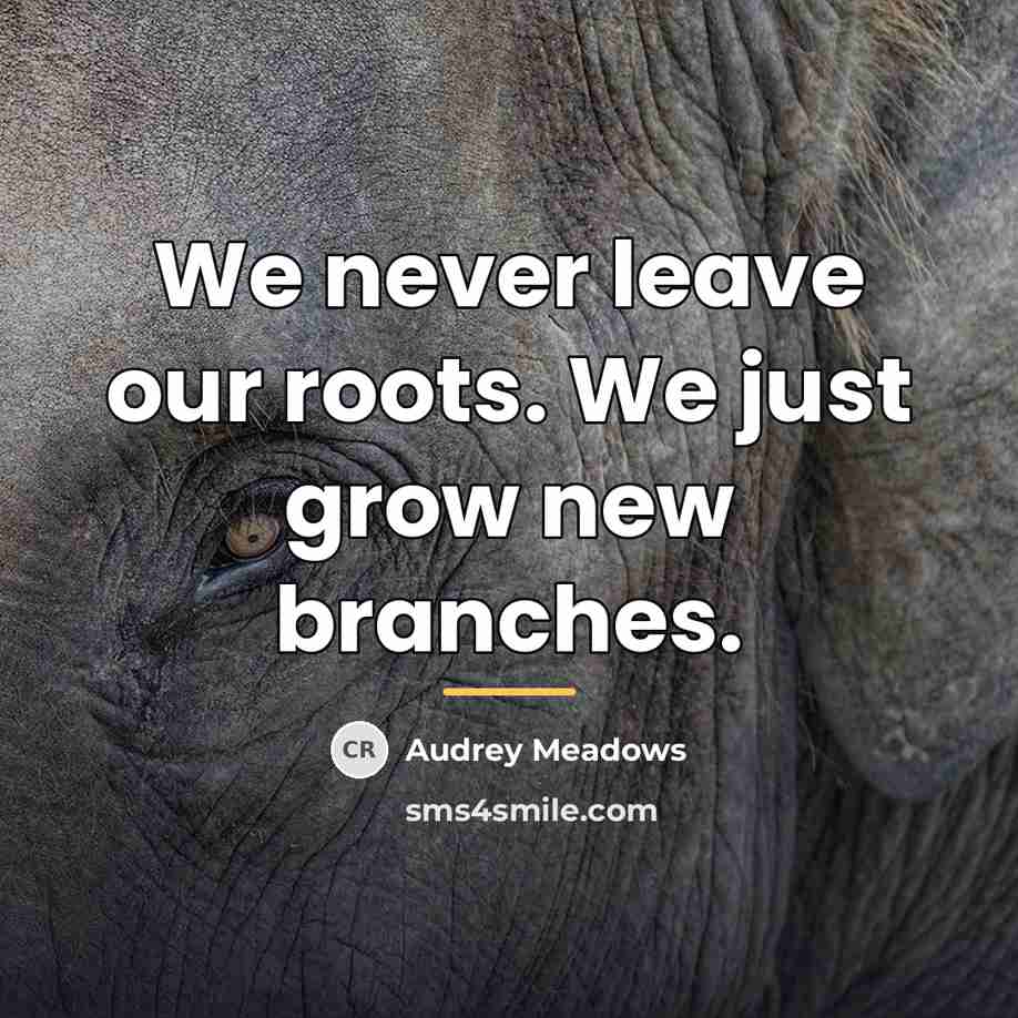 “We never leave our roots. We just grow new branches.…” quote by Audrey Meadows