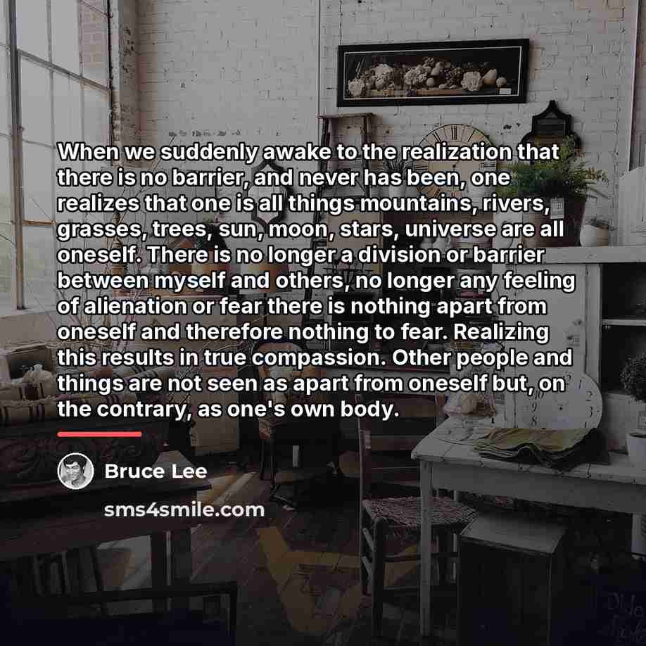 “When we suddenly awake to the realization that there is…” quote by Bruce Lee