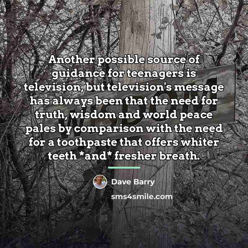 “Another possible source of guidance for teenagers is television, but…” quote by Dave Barry