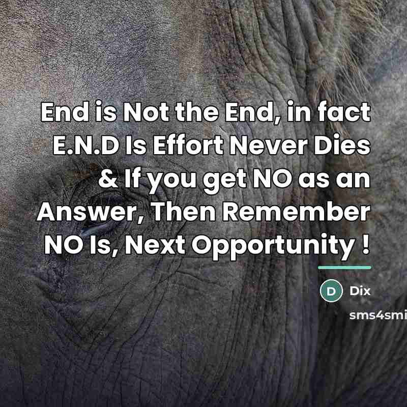 “End is Not the End, in fact E.N.D Is Effort…” quote by Dix