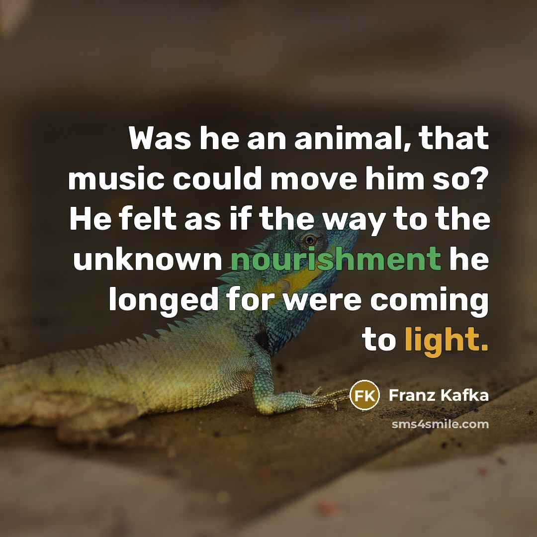 “Was he an animal, that music could move him so?…” quote by Franz Kafka