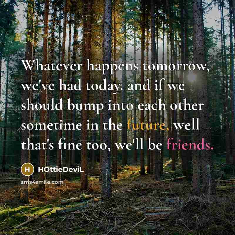 “Whatever happens tomorrow, we've had today. and if we should bump into each other sometime in the future, well that's fine too, we'll be friends.” quote by HOttieDeviL