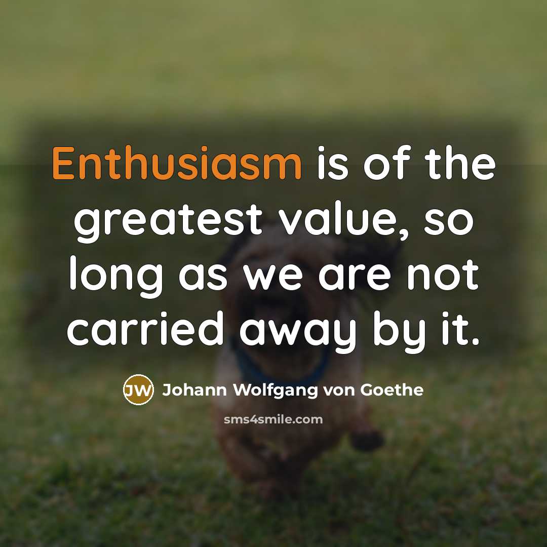 “Enthusiasm is of the greatest value, so long as we…” quote by Johann Wolfgang von Goethe
