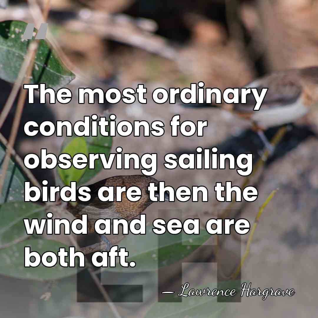 The most ordinary conditions for observing sailing birds are then the wind&hellip; - Lawrence Hargrave