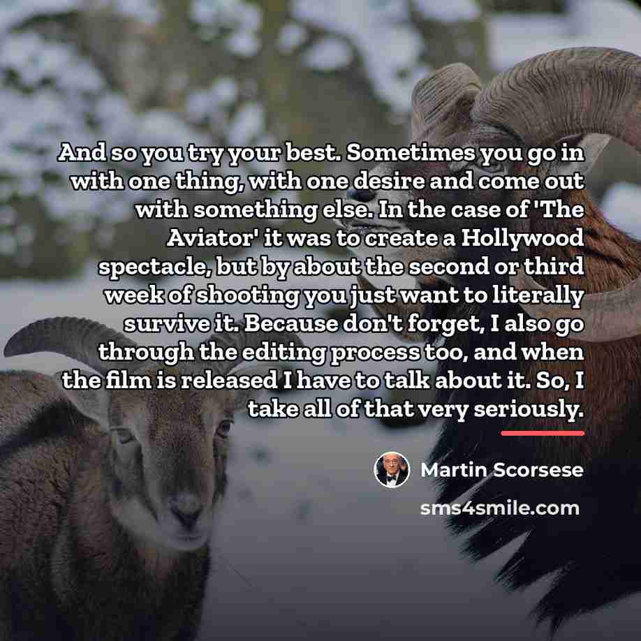 “And so you try your best. Sometimes you go in…” quote by Martin Scorsese