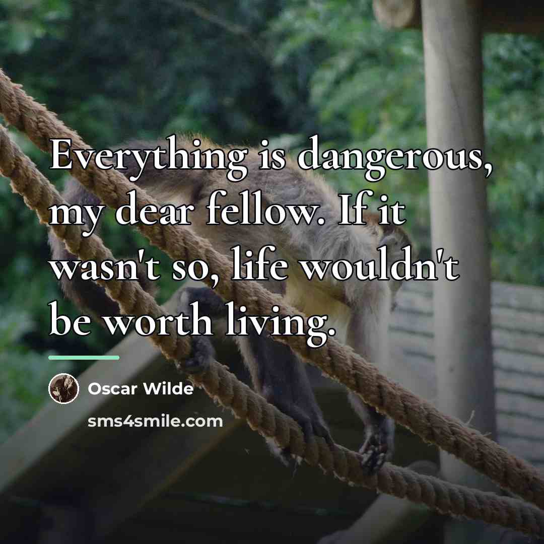 “Everything is dangerous, my dear fellow. If it wasn't so,…” quote by Oscar Wilde