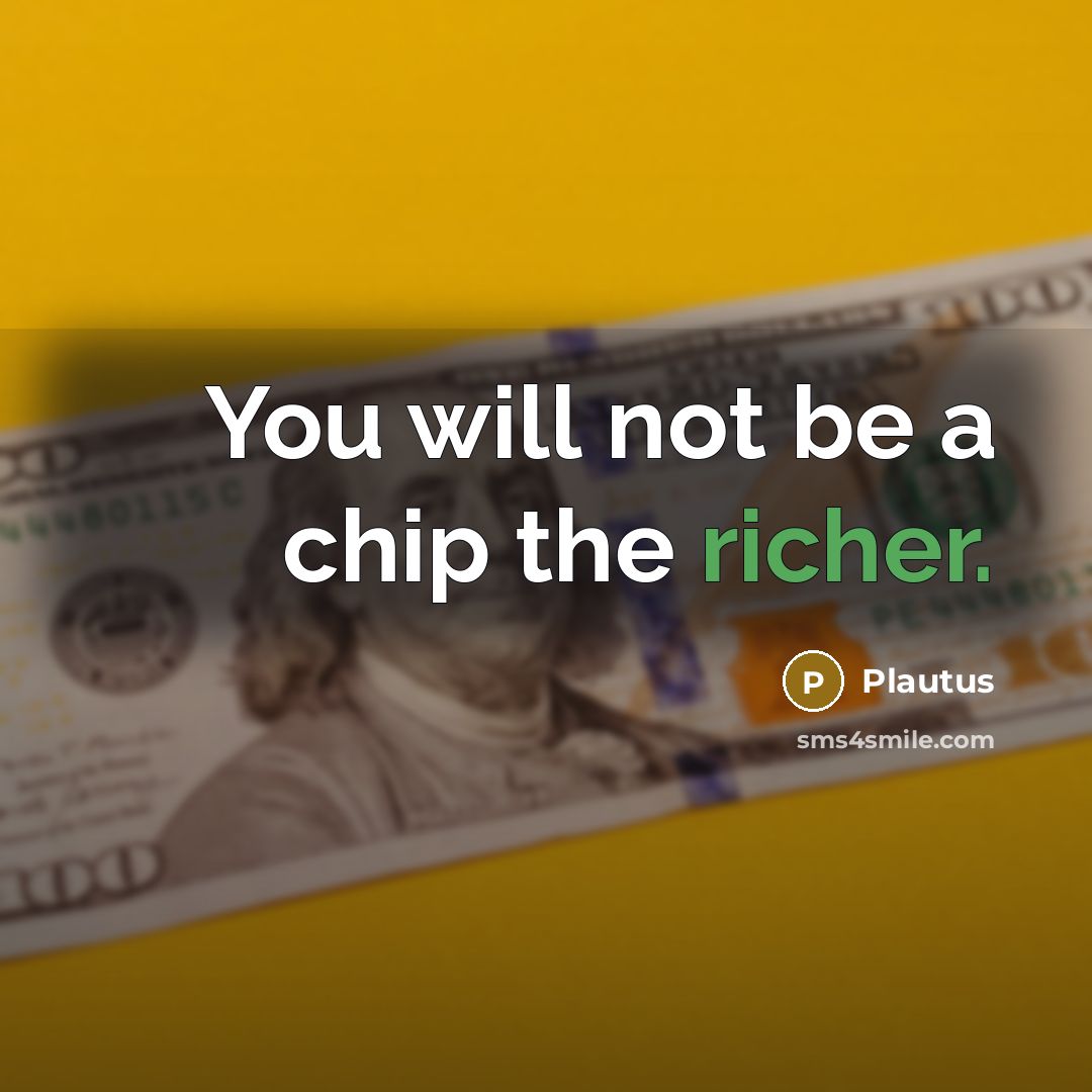 “You will not be a chip the richer.” quote by Plautus