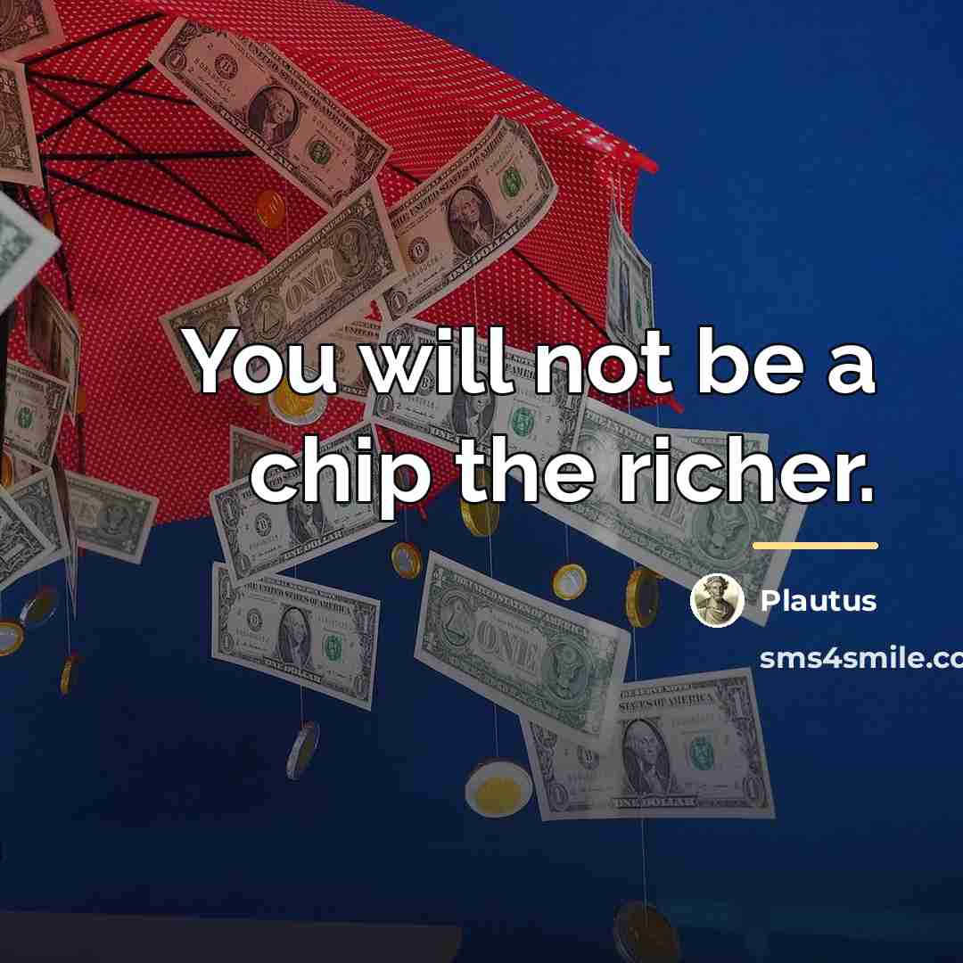 “You will not be a chip the richer.…” quote by Plautus