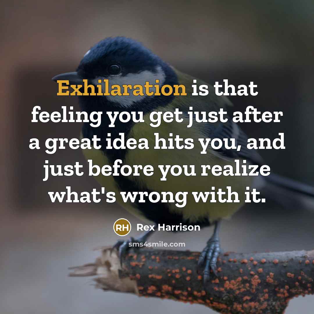 “Exhilaration is that feeling you get just after a great…” quote by Rex Harrison