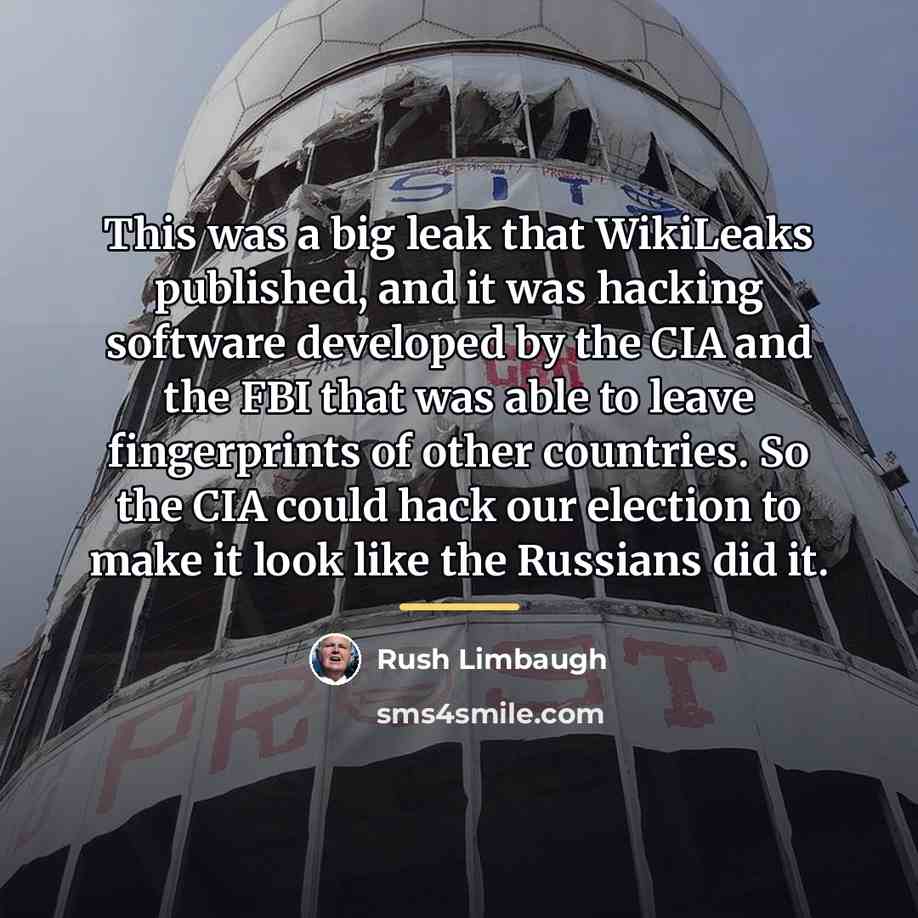 “This was a big leak that WikiLeaks published, and it…” quote by Rush Limbaugh