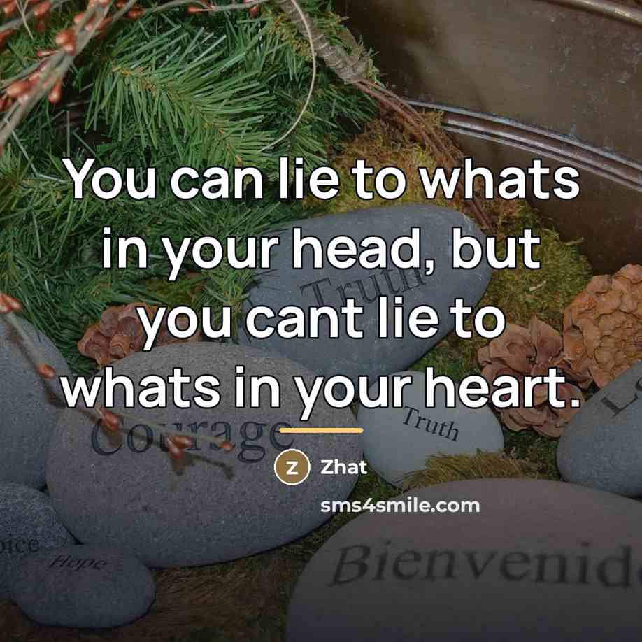 “You can lie to whats in your head, but you…” quote by Zhat