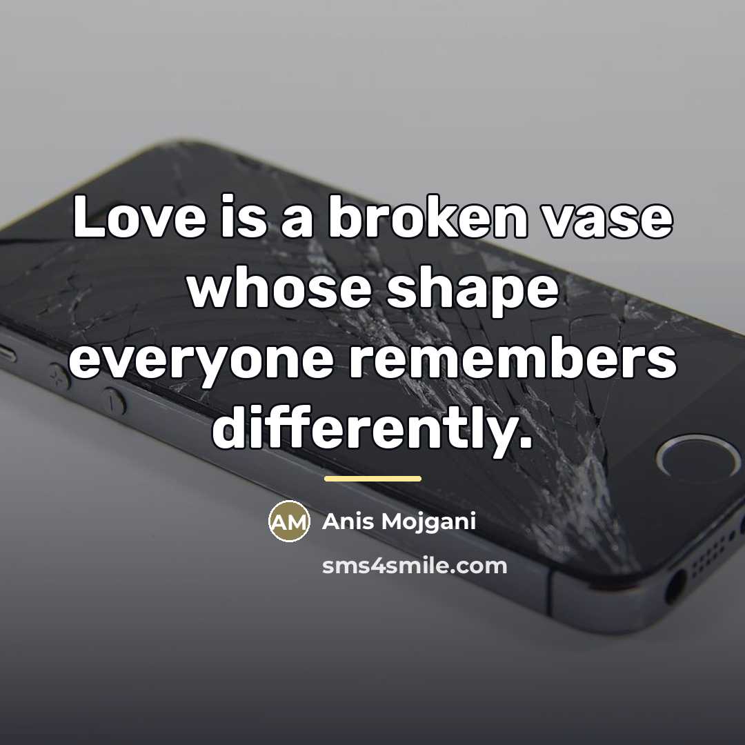 “Love is a broken vase whose shape everyone remembers differently.…” quote by Anis Mojgani