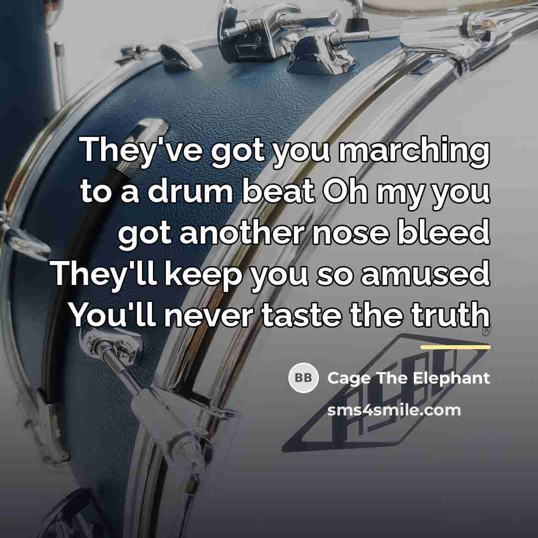 “They've got you marching to a drum beat Oh my…” quote by Cage The Elephant